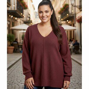 LOFT Deep Burgundy Long Sleeve V-Neck Sweater
